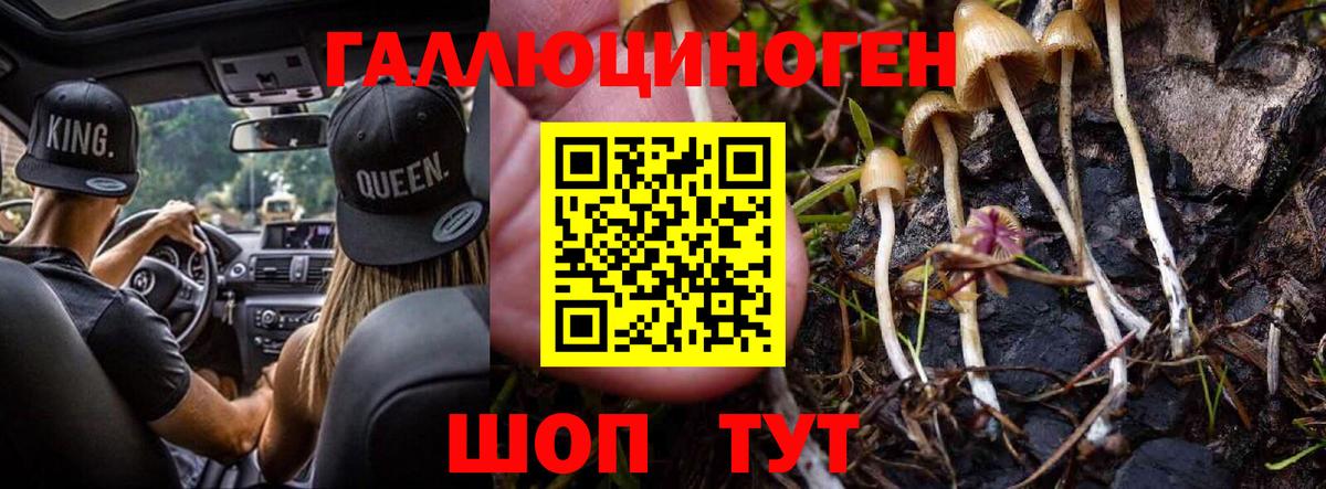 Галлюциногенные грибы Magic Shrooms Полысаево