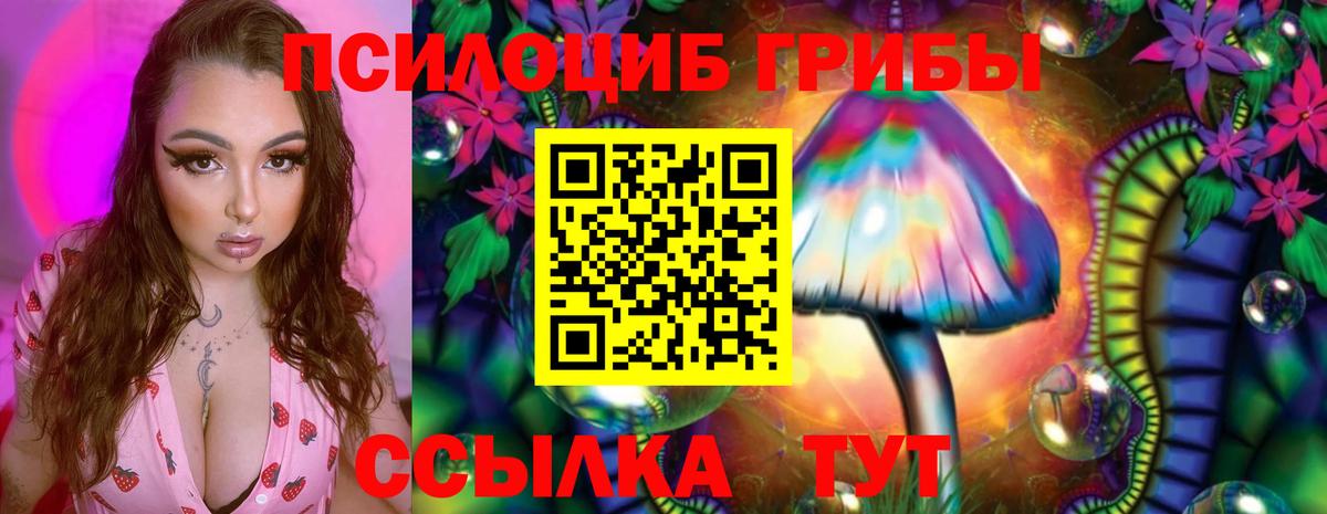 Полысаево  Псилоцибиновые грибы Cubensis  Псилоцибиновые грибы Psilocybine cubensis  Вход с VPN 